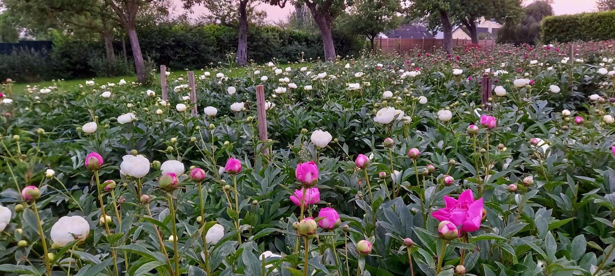 Bauernhof Sesterhenn ライヒリンゲン エクステリア 写真